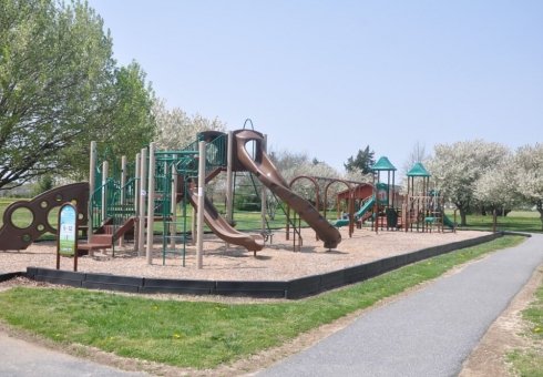 green and brown playground for kids